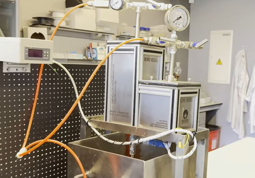 MethBrane (TED2021-131276A-I00)